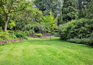 Optimiser l'expérience du jardin à Sainte-Helene-Bondeville